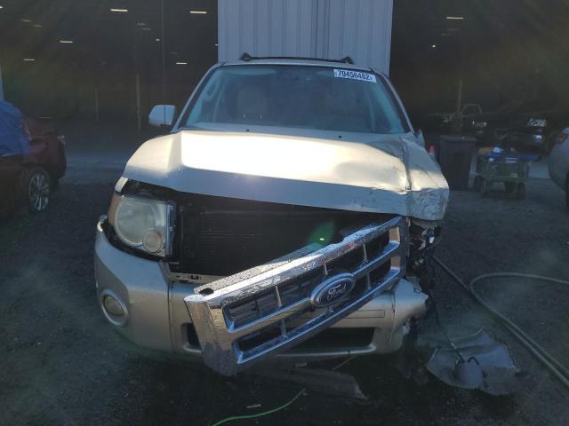 Photo 5 from auction – 2010 FORD ESCAPE LIM with VIN 1FMCU0EG2AKD09753