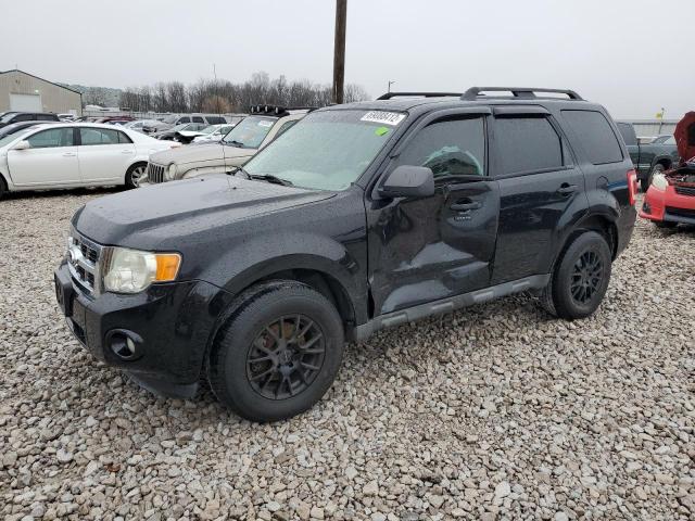 FORD ESCAPE XLT 2010 with VIN 1FMCU0D79AKB41871 - Photo from auction