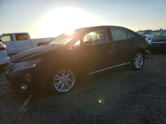 LEXUS HS 250H 2010 with VIN JTHBB1BA3A2008421 - Photo from auction