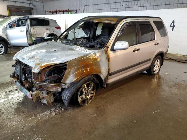 HONDA CR-V EX 2003 with VIN SHSRD78823U147143 - Photo from auction