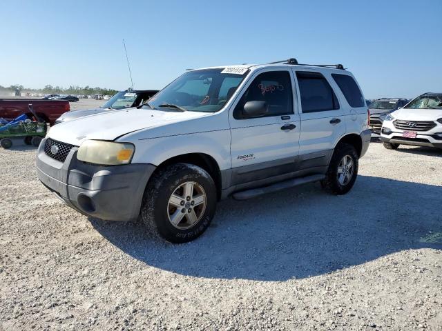 FORD ESCAPE XLS 2005 with VIN 1FMYU02Z95KC73853 - Photo from auction