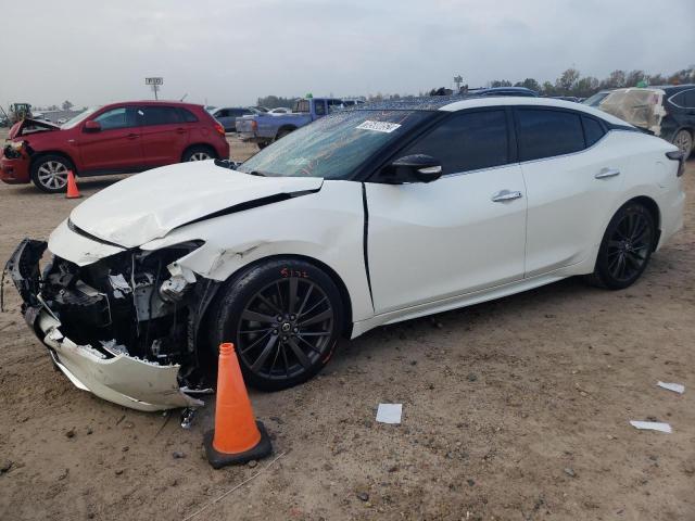 NISSAN MAXIMA PLA 2020 with VIN 1N4AA6FV1LC382037 - Photo from auction