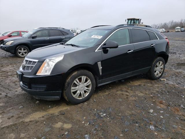 CADILLAC SRX 2012 with VIN 3GYFNGE36CS529063 - Photo from auction
