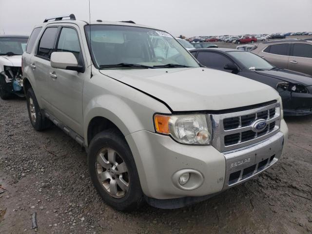 Photo 4 from auction – 2009 FORD ESCAPE LIM with VIN 1FMCU04GX9KC02592