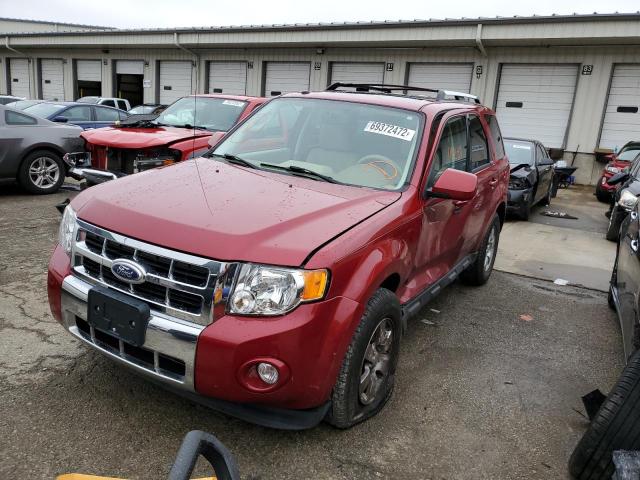 FORD ESCAPE LIM 2010 with VIN 1FMCU0E71AKA71426 - Photo from auction