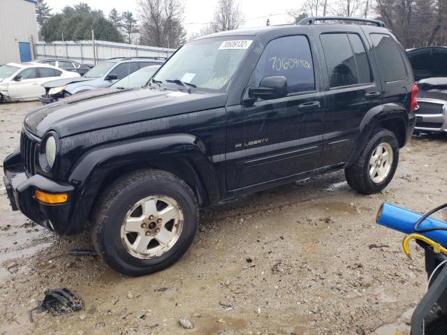 JEEP LIBERTY LI 2003 with VIN 1J4GL58K03W660866 - Photo from auction