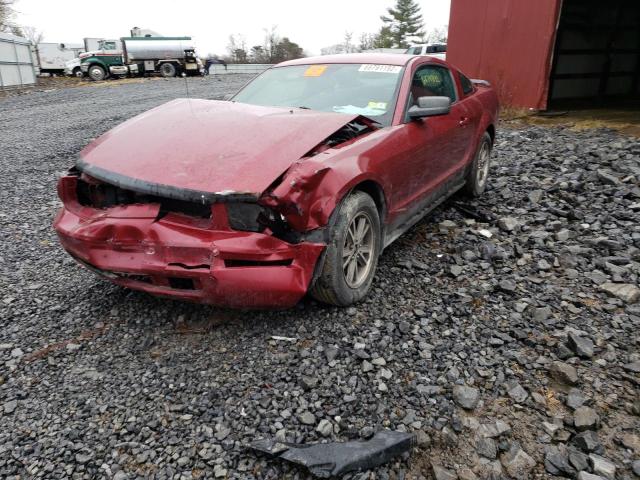 FORD MUSTANG 2005 with VIN 1ZVFT80N555115616 - Photo from auction