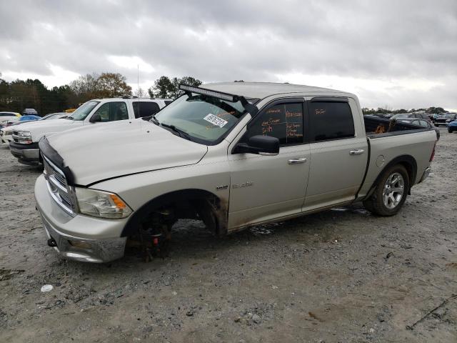 DODGE RAM 1500 2009 with VIN 1D3HV13T69J512862 - Photo from auction