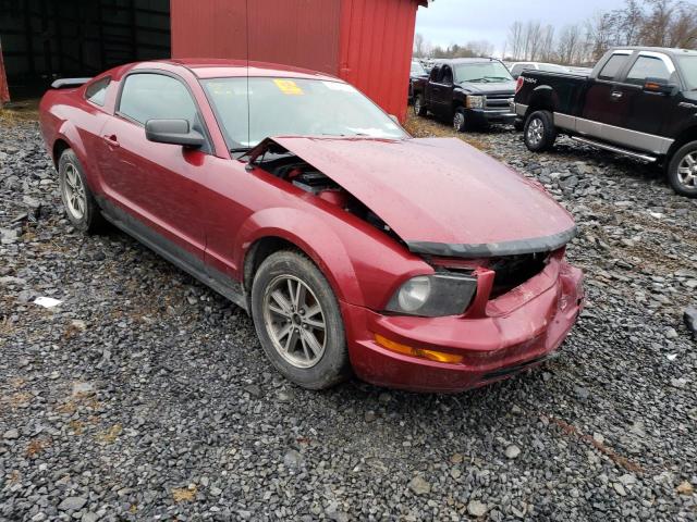 Photo 4 from auction – 2005 FORD MUSTANG with VIN 1ZVFT80N555115616