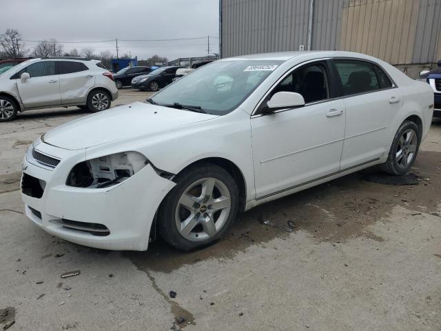 CHEVROLET MALIBU 1LT 2010 with VIN 1G1ZC5EB6AF149252 - Photo from auction