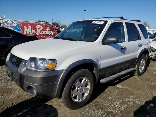 FORD ESCAPE XLT 2006 with VIN 1FMYU93116KD09954 - Photo from auction