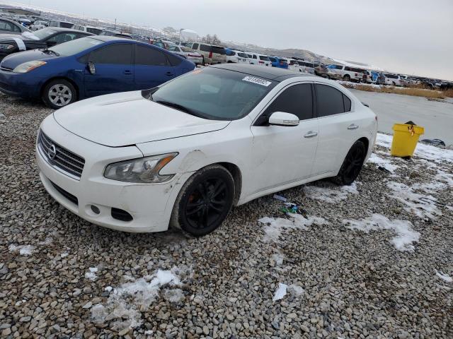 NISSAN MAXIMA S 2009 with VIN 1N4AA51E29C855440 - Photo from auction