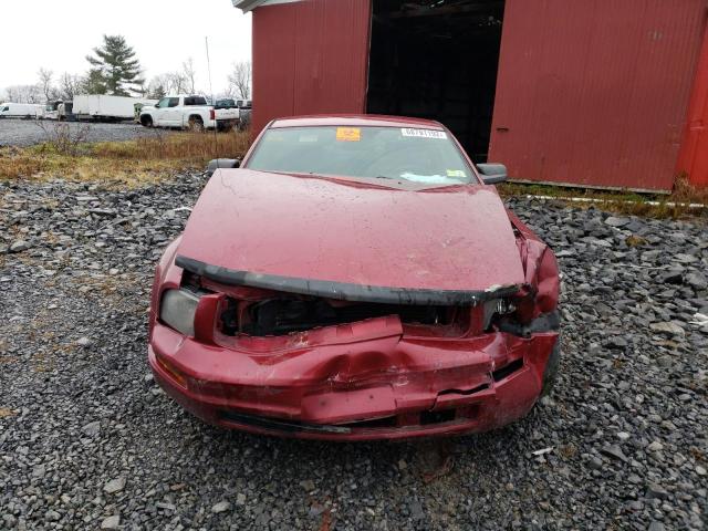 Photo 5 from auction – 2005 FORD MUSTANG with VIN 1ZVFT80N555115616