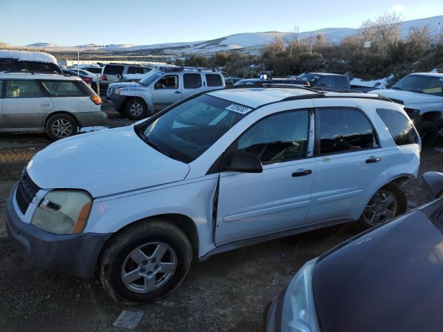 CHEVROLET EQUINOX LS 2005 with VIN 2CNDL23F056186539 - Photo from auction