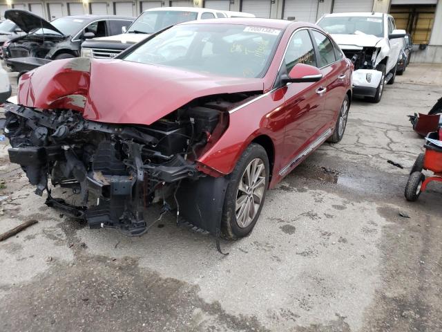 HYUNDAI SONATA SPO 2015 with VIN 5NPE34AF0FH255752 - Photo from auction