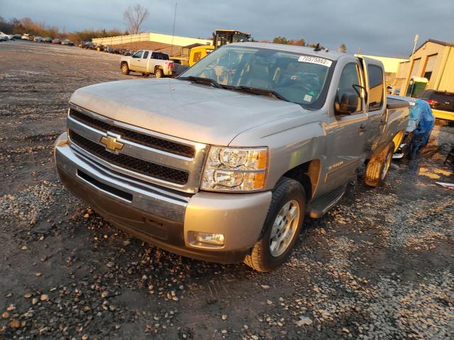 CHEVROLET SILVERADO 2009 with VIN 3GCEC23029G259053 - Photo from auction