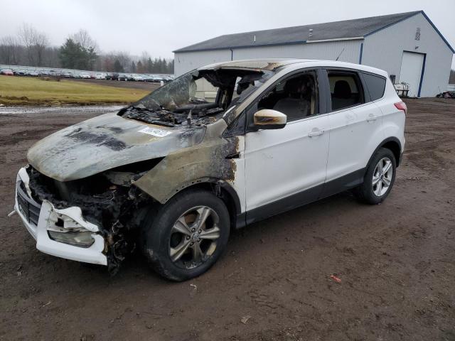 Photo 1 from auction – 2014 FORD ESCAPE SE with VIN 1FMCU0GX0EUB70326