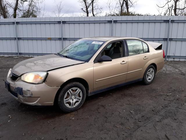 CHEVROLET MALIBU LS 2006 with VIN 1G1ZS51F76F294013 - Photo from auction