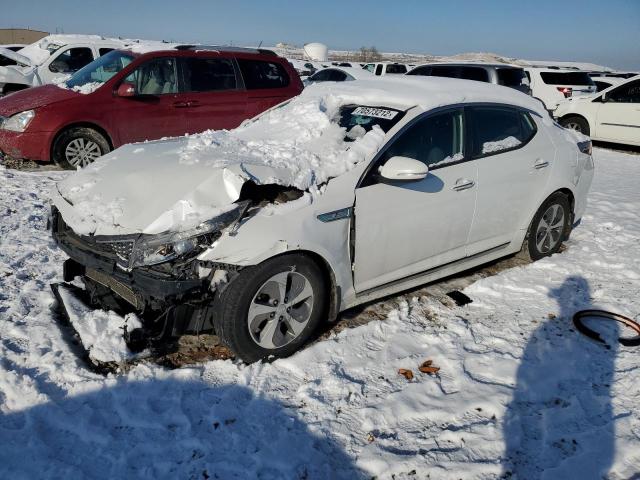 KIA OPTIMA HYB 2016 with VIN KNAGM4AD1G5093083 - Photo from auction