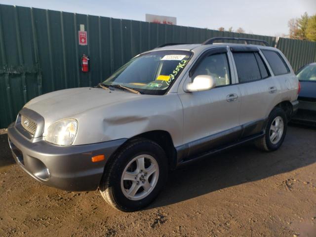 HYUNDAI SANTA FE G 2004 with VIN KM8SC73D04U769969 - Photo from auction