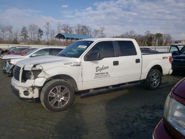 FORD F150 SUPER 2014 with VIN 1FTEW1CM0EFA05602 - Photo from auction