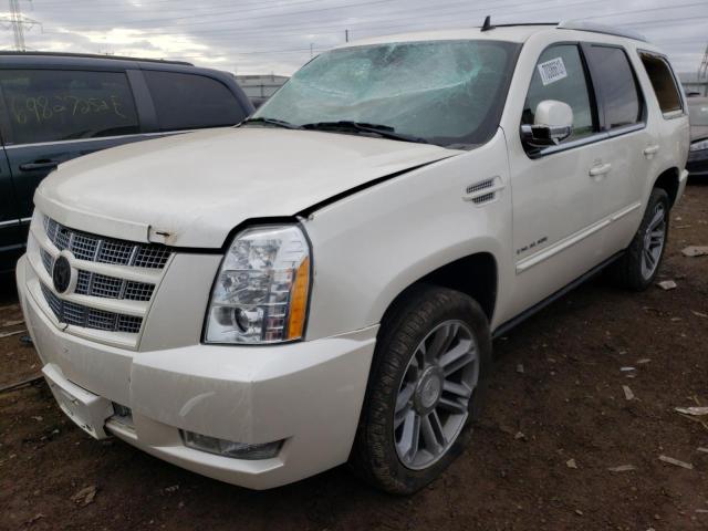 CADILLAC ESCALADE P 2012 with VIN 1GYS4CEF5CR253997 - Photo from auction