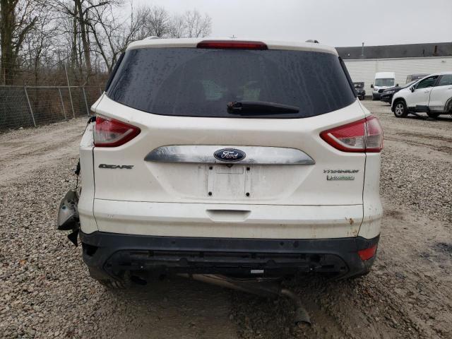 Photo 6 from auction – 2014 FORD ESCAPE TIT with VIN 1FMCU0JX1EUB25355