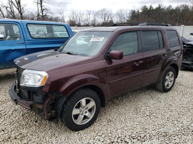 HONDA PILOT EXL 2010 with VIN 5FNYF3H55AB013767 - Photo from auction