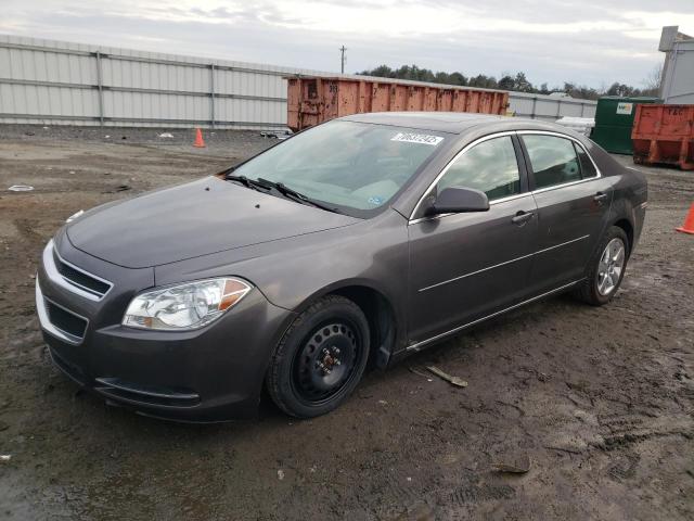 CHEVROLET MALIBU 2LT 2010 with VIN 1G1ZD5EB0AF239686 - Photo from auction