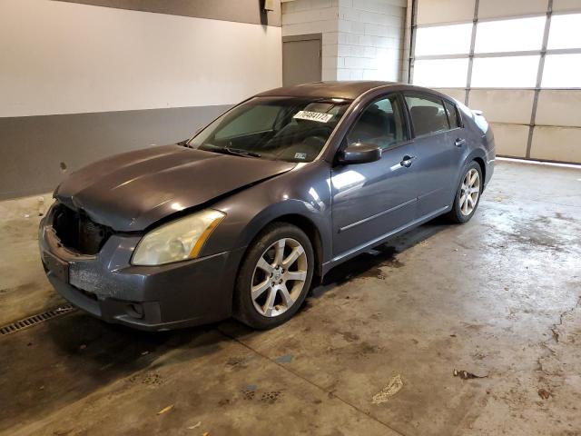 NISSAN MAXIMA SE 2008 with VIN 1N4BA41E48C817513 - Photo from auction