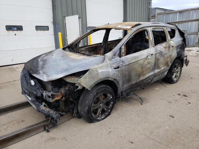 Photo 1 from auction – 2014 FORD ESCAPE SE with VIN 1FMCU0GX9EUB65965