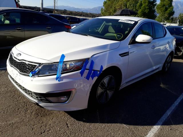 KIA OPTIMA HYB 2013 with VIN KNAGM4ADXD5043083 - Photo from auction