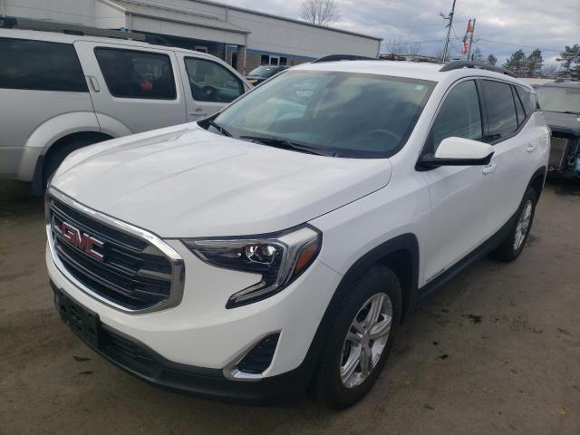GMC TERRAIN SL 2019 with VIN 3GKALTEV8KL148991 - Photo from auction
