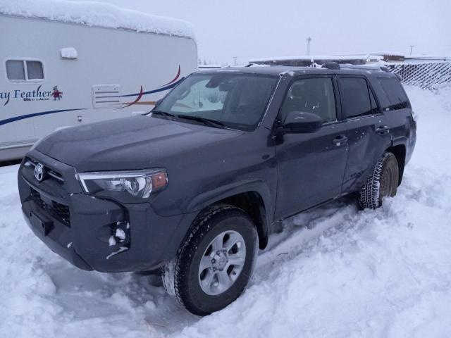 TOYOTA 4RUNNER SR 2021 with VIN JTEMU5JR1M5901267 - Photo from auction