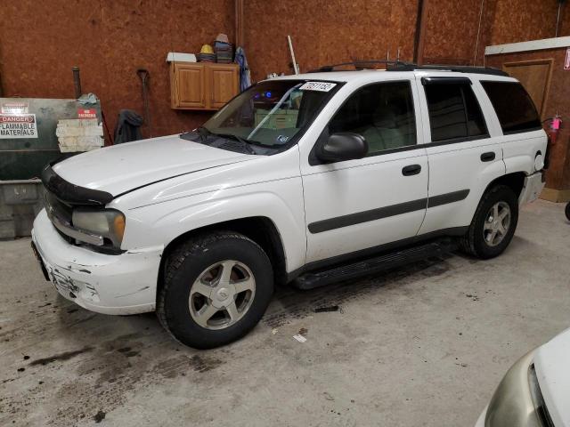 CHEVROLET TRAILBLAZE 2005 with VIN 1GNDT13S452303992 - Photo from auction