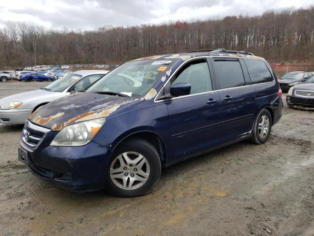 HONDA ODYSSEY EX 2005 with VIN 5FNRL38415B047876 - Photo from auction