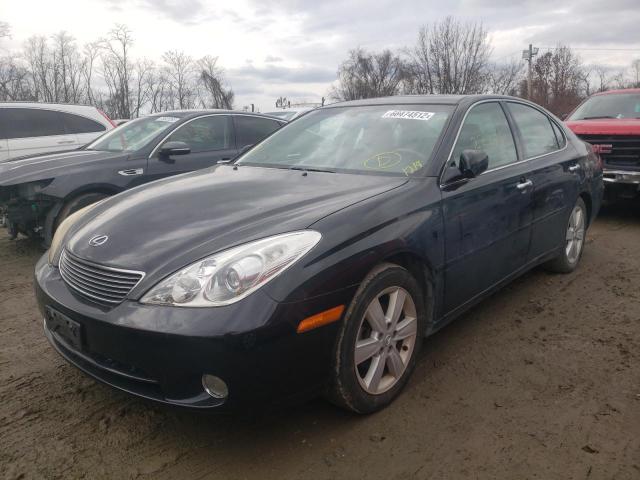 LEXUS ES 330 2005 with VIN JTHBA30G155065971 - Photo from auction