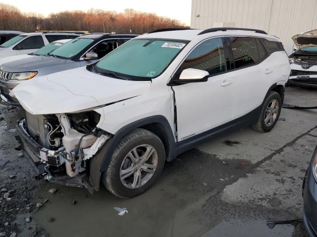 GMC TERRAIN SL 2019 with VIN 3GKALTEV5KL345102 - Photo from auction
