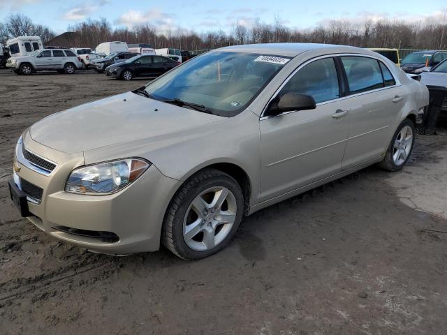 CHEVROLET MALIBU LS 2011 with VIN 1G1ZB5E14BF278814 - Photo from auction