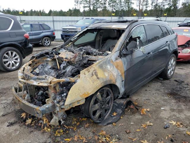 CADILLAC SRX PERFOR 2011 with VIN 3GYFNBEY1BS579687 - Photo from auction