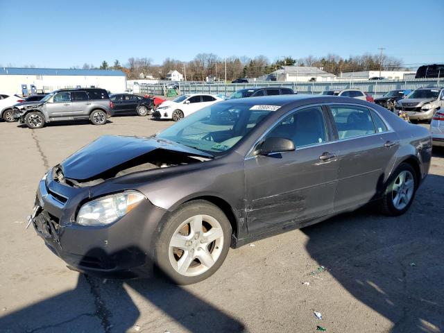 CHEVROLET MALIBU 2010 with VIN 1G1ZA5EB3AF216170 - Photo from auction