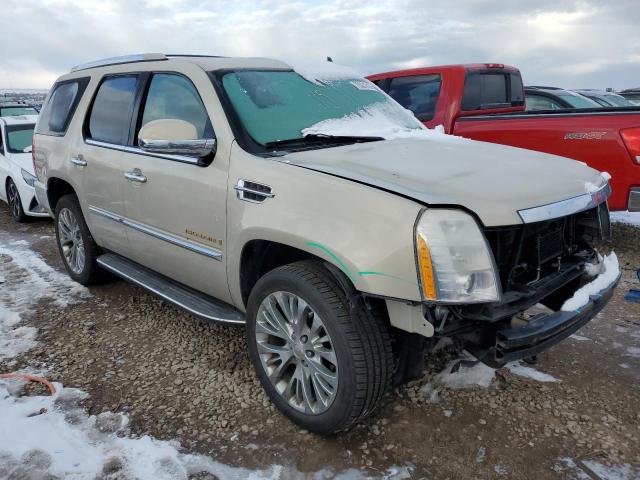 Photo 4 from auction – 2009 CADILLAC ESCALADE L with VIN 1GYFK23289R260663