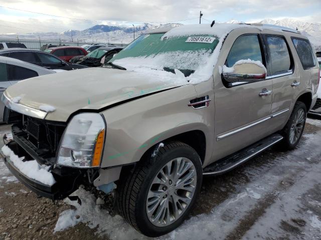 CADILLAC ESCALADE L 2009 with VIN 1GYFK23289R260663 - Photo from auction