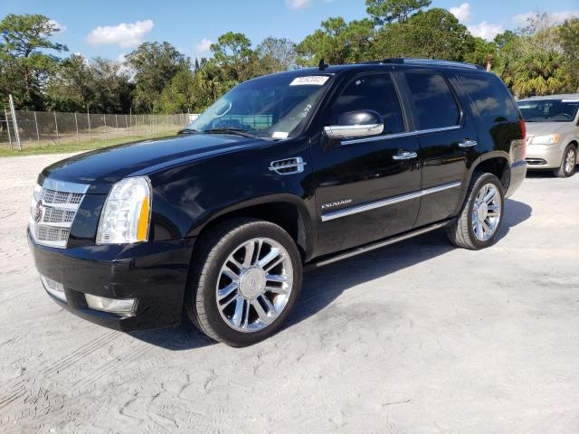 CADILLAC ESCALADE P 2011 with VIN 1GYS4DEF5BR320943 - Photo from auction
