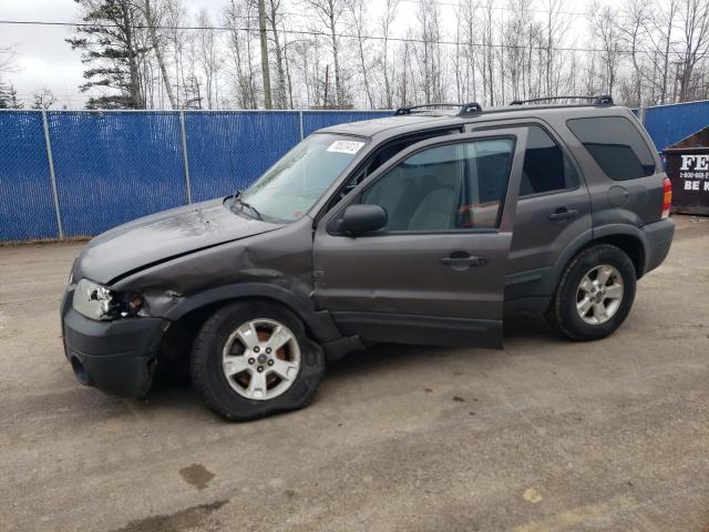 FORD ESCAPE XLT 2005 with VIN 1FMYU93115KA91304 - Photo from auction