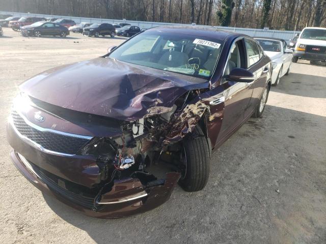 KIA OPTIMA LX 2016 with VIN 5XXGT4L39GG113313 - Photo from auction