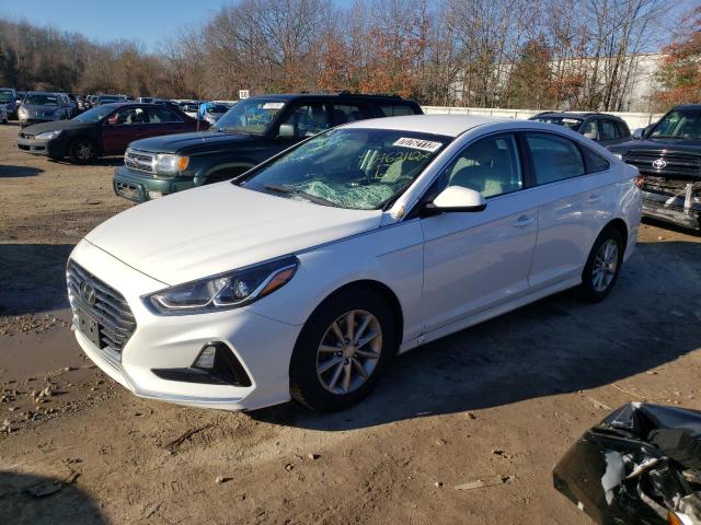HYUNDAI SONATA SE 2019 with VIN 5NPE24AF1KH774239 - Photo from auction