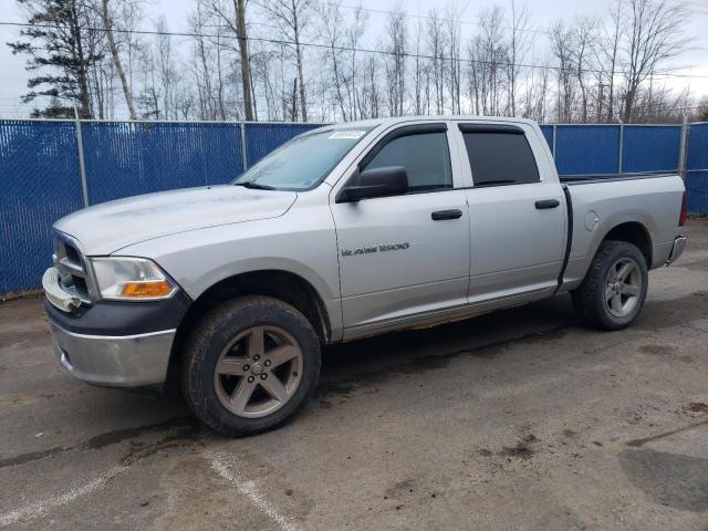 DODGE RAM 1500 2011 with VIN 1D7RV1CP9BS627493 - Photo from auction