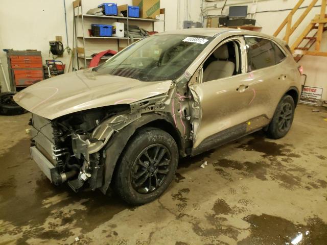 FORD ESCAPE SE 2020 with VIN 1FMCU9G64LUA34824 - Photo from auction