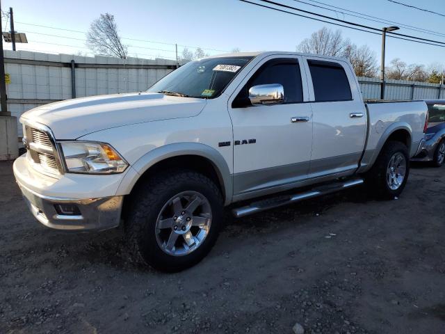DODGE RAM 1500 2009 with VIN 1D3HV13TX9S774815 - Photo from auction